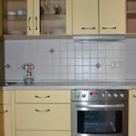 Penzion Holdermuehle 3*
