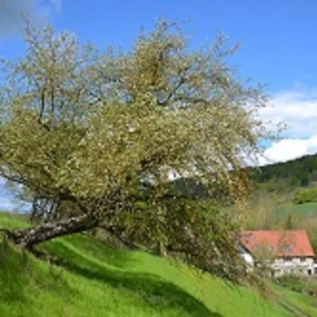 Holdermühle *